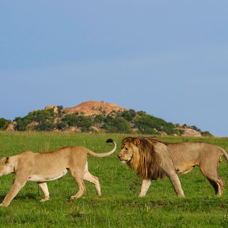 Nkomazi Game Reserve By Newmark Badplaas Extérieur photo