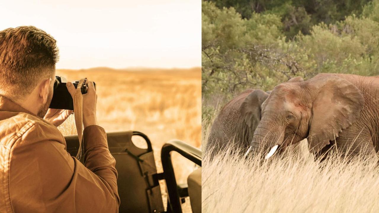 Nkomazi Game Reserve By Newmark Badplaas Extérieur photo